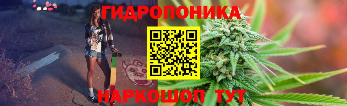 Бошки Шишки ГИДРОПОН Котовск